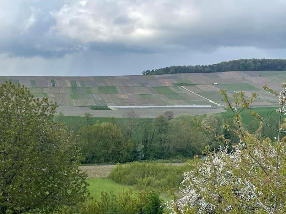 Maison D'Hotes Baslieux-sous-Chatillon المظهر الخارجي الصورة